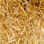 NORTHERN GERMANY road trip | Bremen – Cuxhaven – Helgoland – Bremerhaven