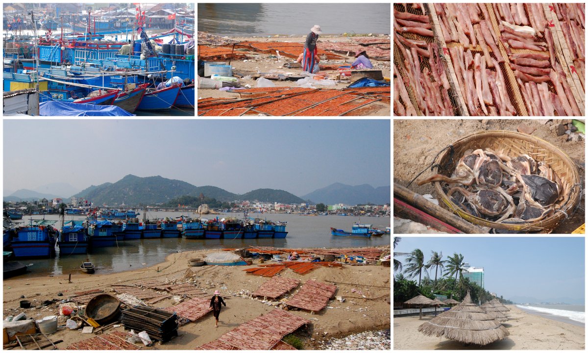 nha trang