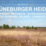 LÜNEBURGER HEIDE, Germany | weekend trip to the pink heath fields close to Hamburg