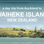 WAIHEKE ISLAND – a perfect day trip from Auckland