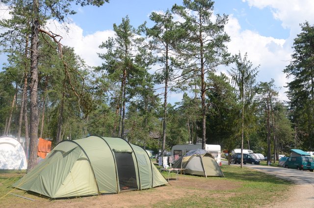 Izbira parcele kampiranje z otroki tent camping tips