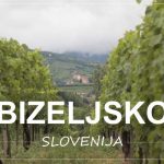 IZLET NA BIZELJSKO, Slovenija | kaj videti in početi v tem delu vinorodne dežele Posavje