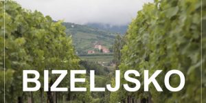 IZLET NA BIZELJSKO, Slovenija | kaj videti in početi v tem delu vinorodne dežele Posavje
