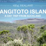 RANGITOTO ISLAND, New Zealand | a day trip from Auckland