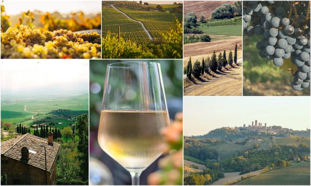 Tuscany Italy wine holidays travel Toskana Italija vinska destinacija