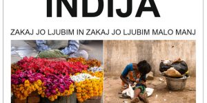INDIJA – zakaj jo ljubim in zakaj jo ljubim malo manj