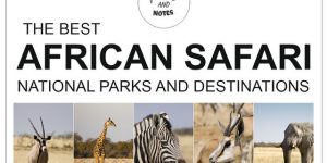 AFRICAN SAFARI | best national parks and destinations