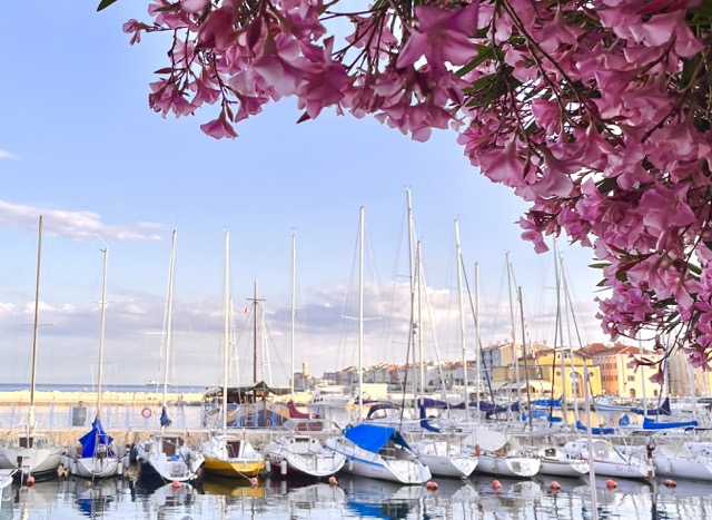 Piran-marina-park-družinski-izlet-z-otroki
