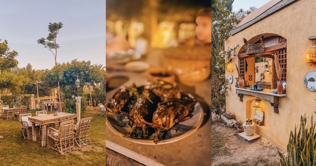 Fayoum-Tunis-Egipt-potopis-potovanje-restavracija-kulinarika