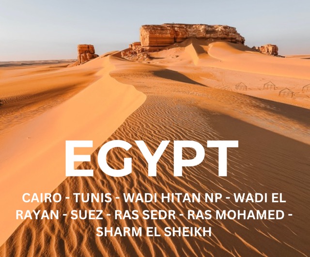 Egypt-travel-Cairo-deserts-Red-Sea-Sharm-el-Sheikh