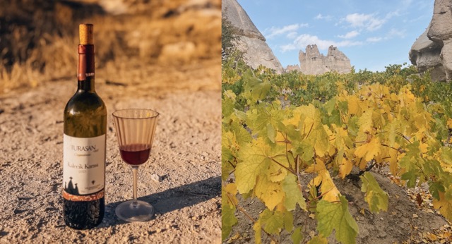 Kapadokija-Turčija-vina-potopis-potovanje-kulinarika-blog