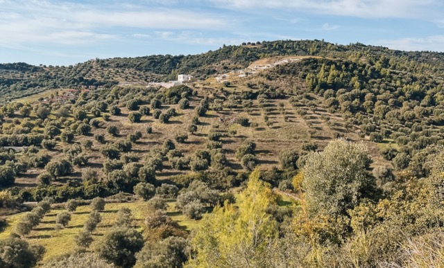 Kasandra-polotok-Halkidiki-Grcija-potopis-potovanje-z-otroki