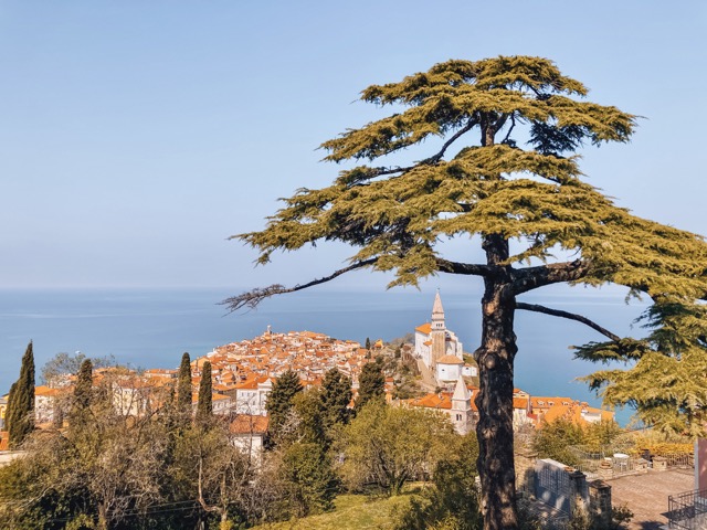 Piran-pogled-z-obzidja-družinski-izlet-blog